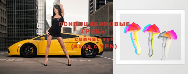 apvp Инсар