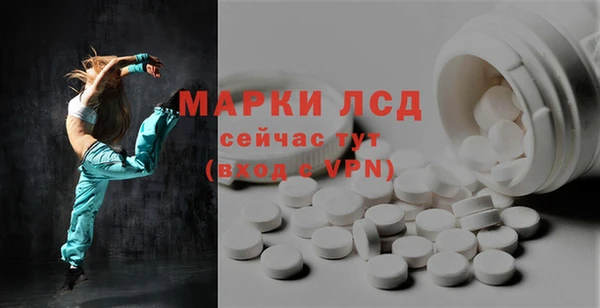 apvp Инсар