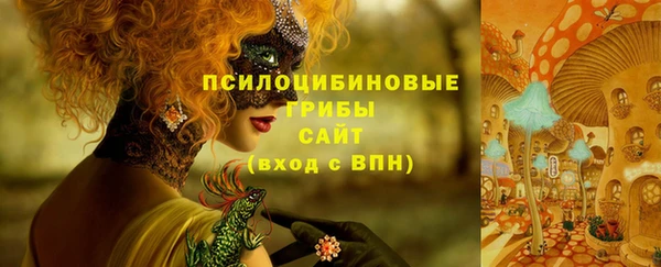 apvp Инсар
