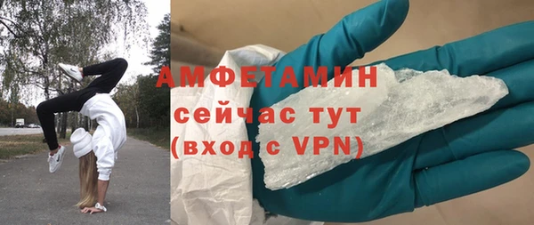 apvp Инсар